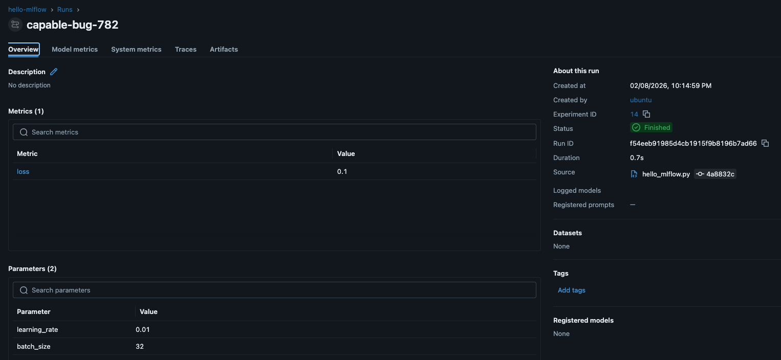 Screenshot eines einfachen MLflow-Runs mit Parameters