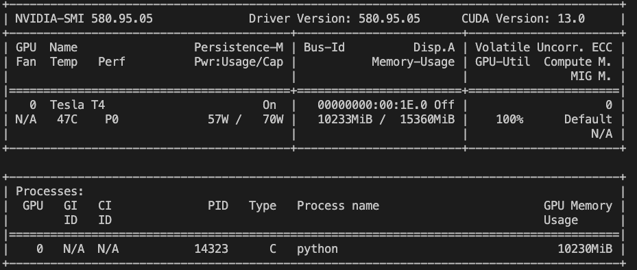 GPU Memory Usage während Training